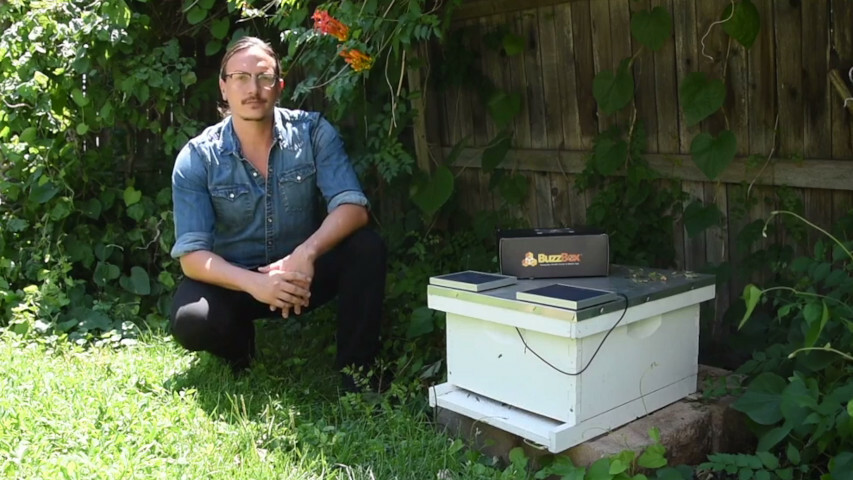 OS Beehives Demo